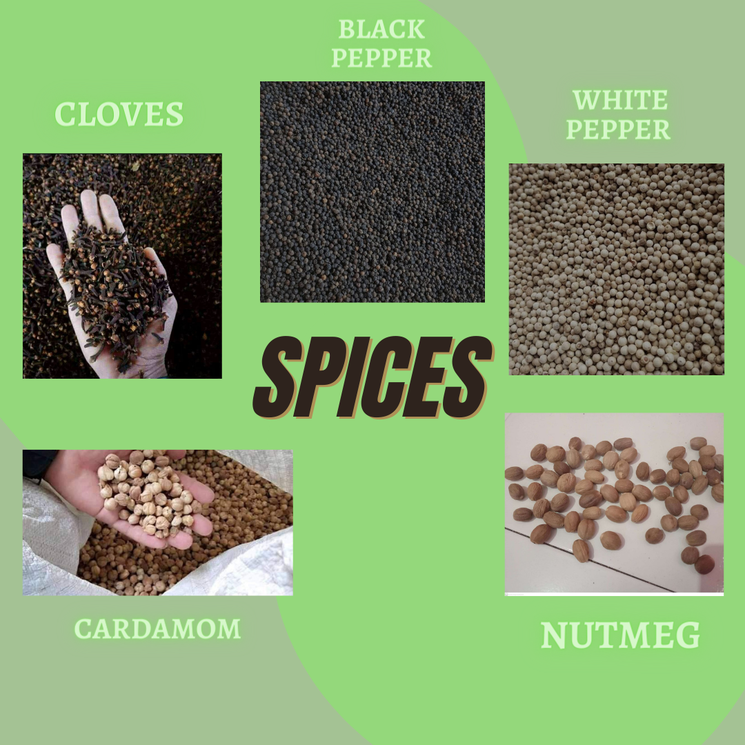Spices Indopride logo