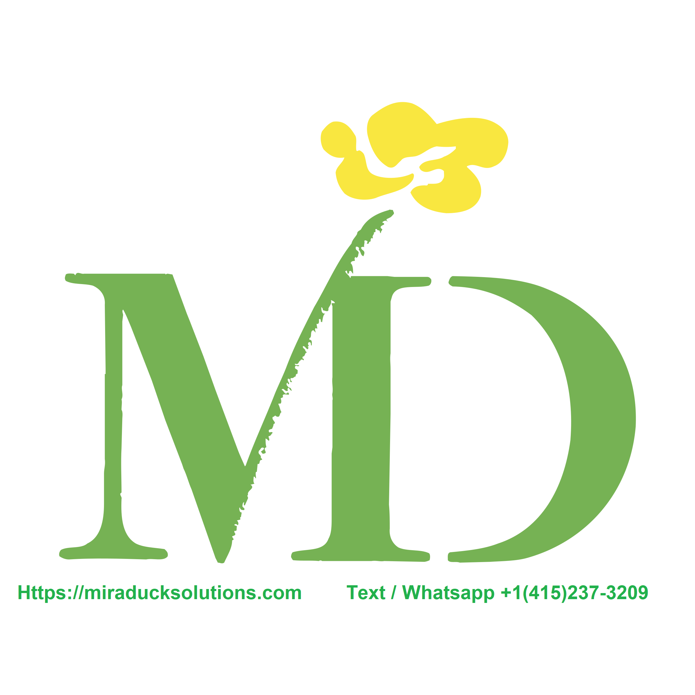 Miradukes Solution logo