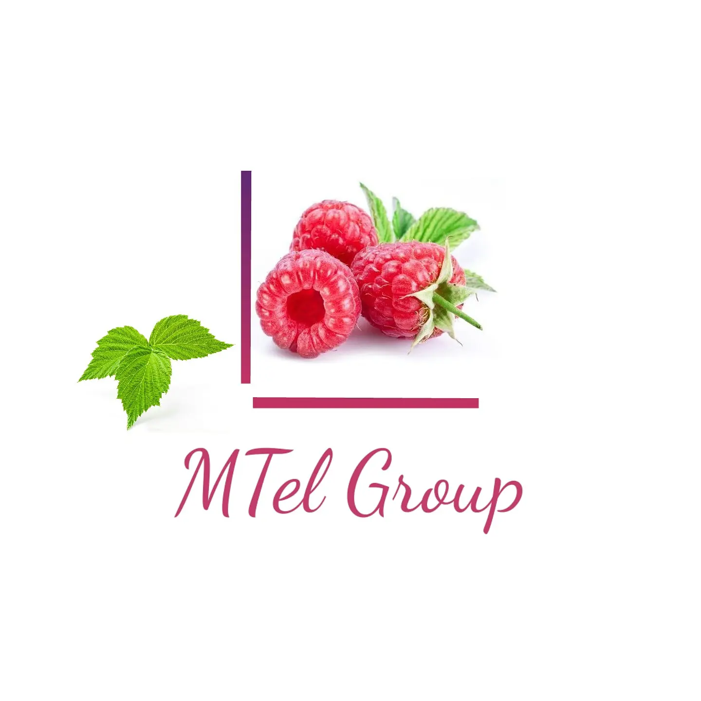 Mtel Fruit Group logo