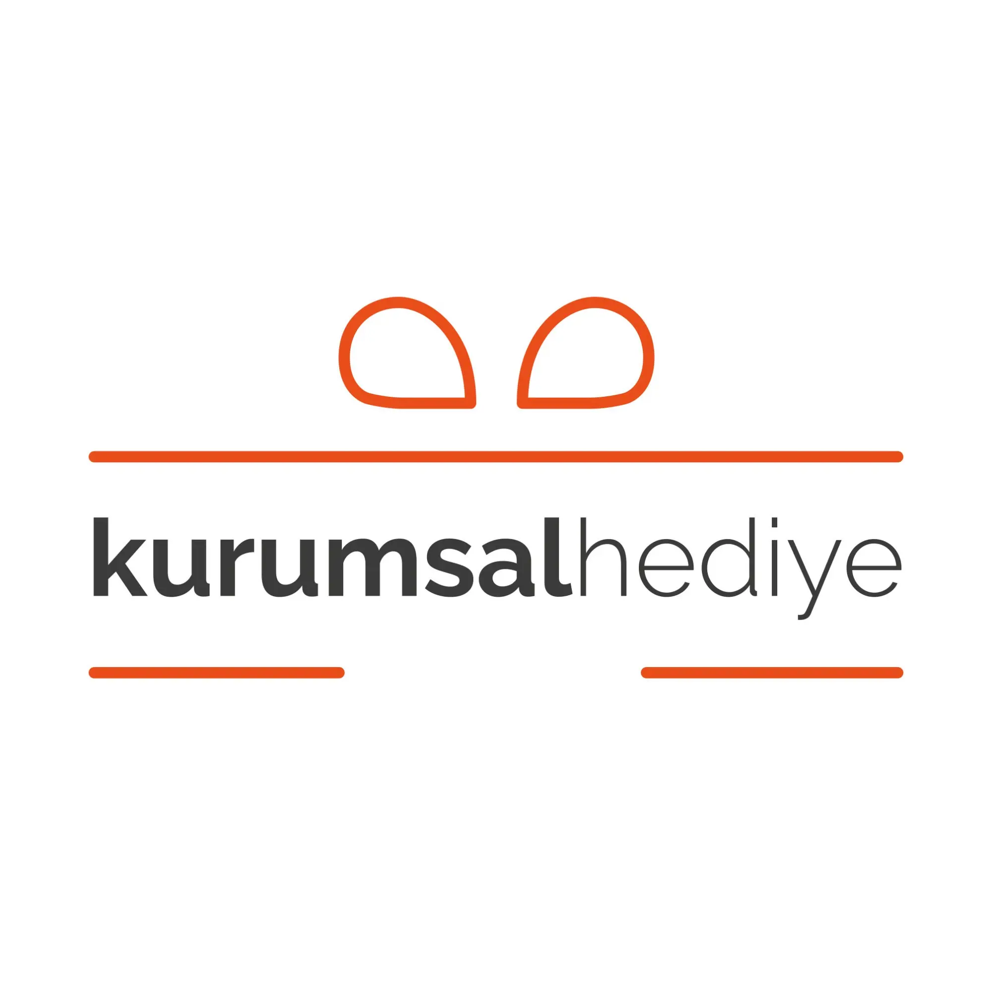 Armepa Uluslararasi Tic. Ltd. Sti.