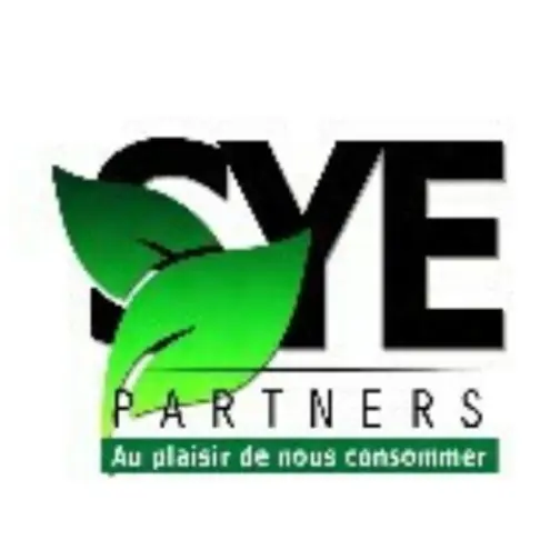 Sye Partners logo