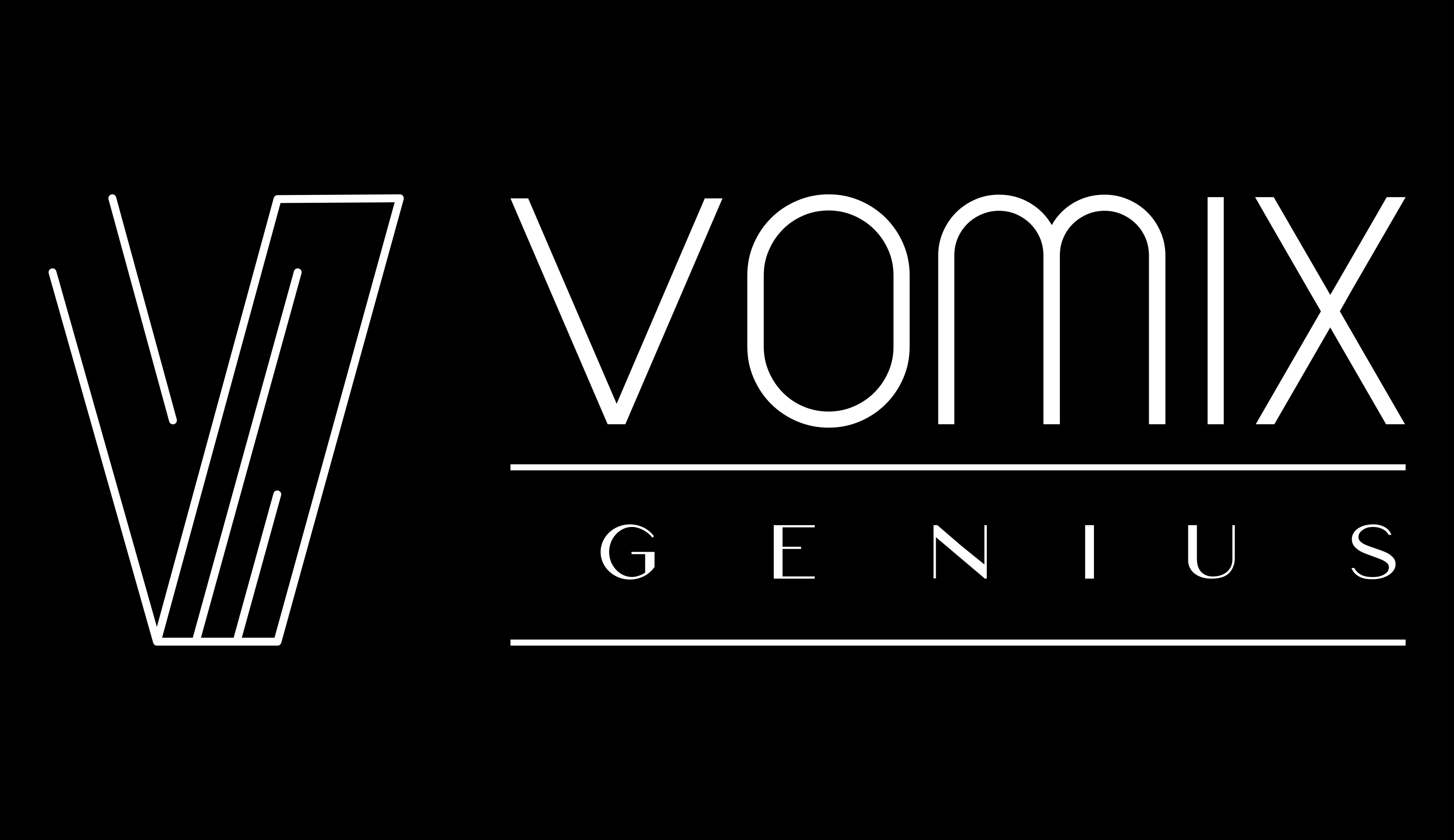 Vomix Genius Srl logo
