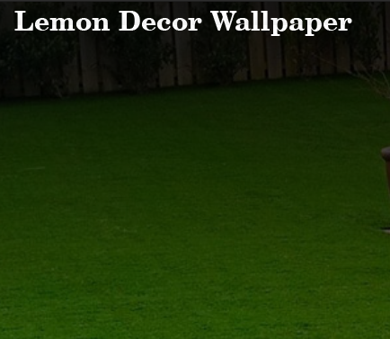 Lemon Decor Wallpaper