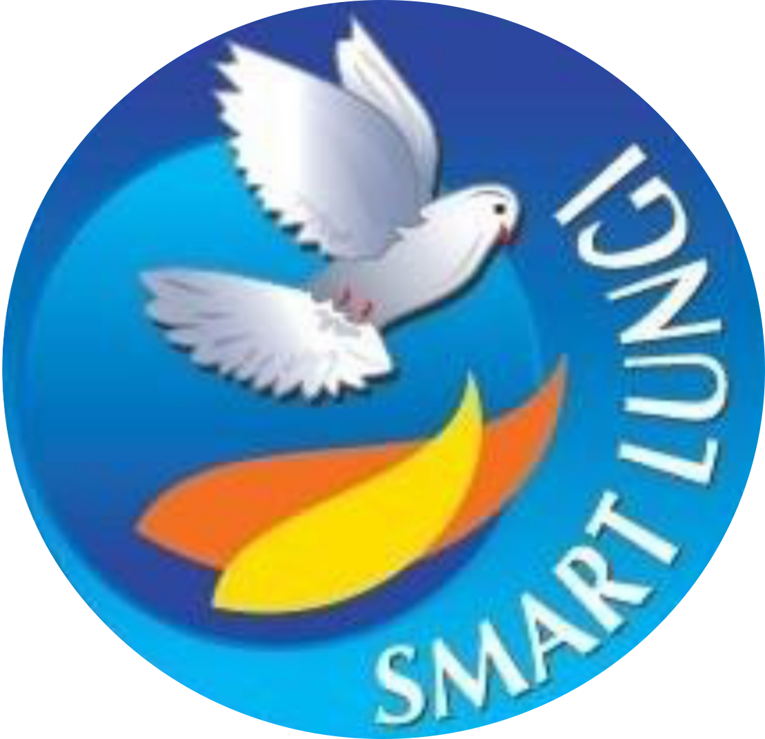 Smart Lungi logo