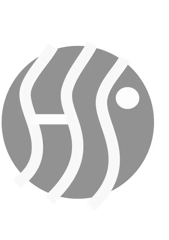 Home Fon International Co., Ltd. logo