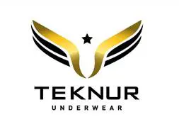 Teknur Tekstil Gida Insaat Otomotiv ve Dayanikli Tuketim Mallari Ticaret Limited Sirketi logo