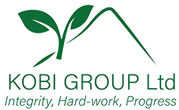 Kobi Group Ltd logo