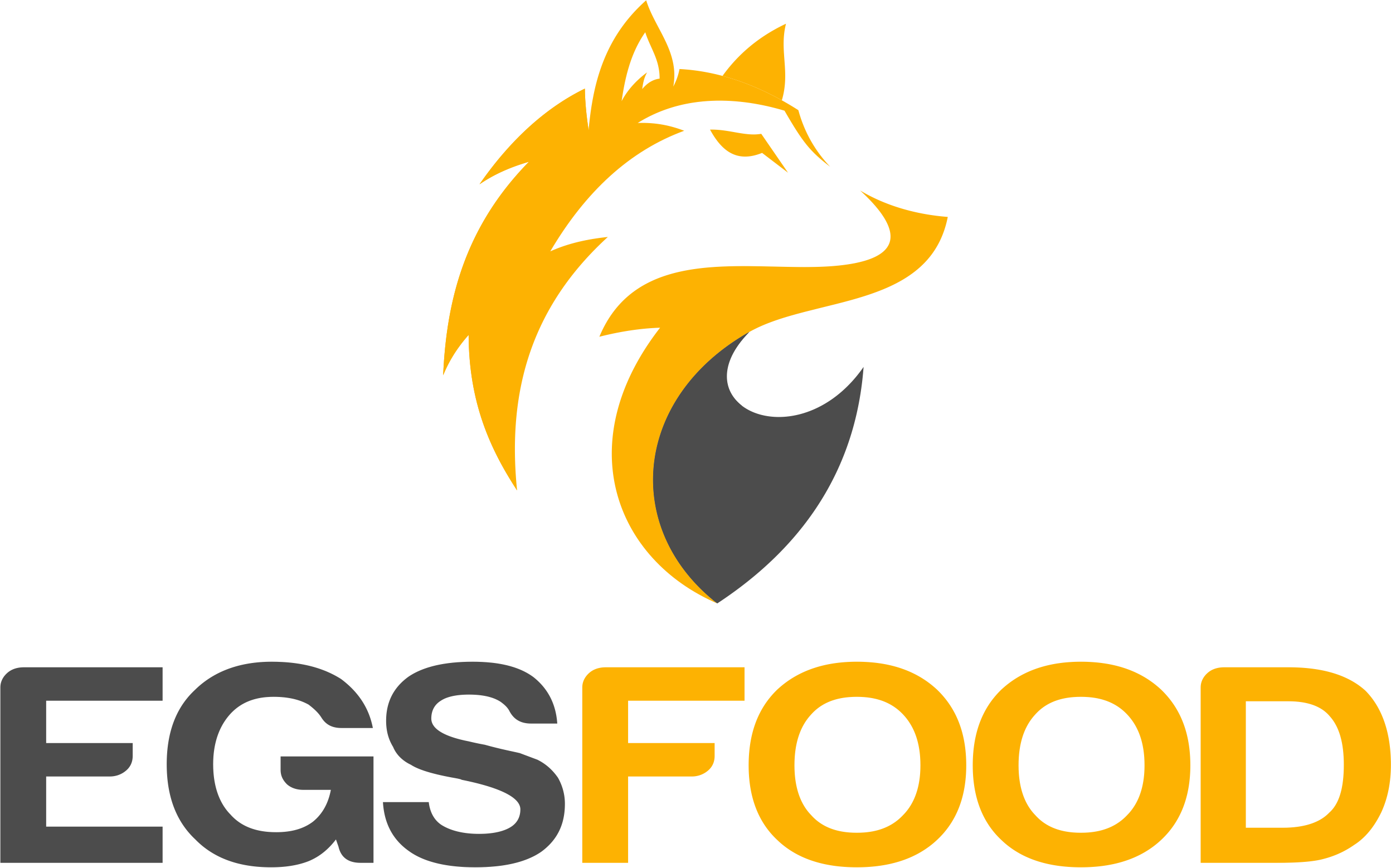 Egs Food Gida Ltd. Sti. logo
