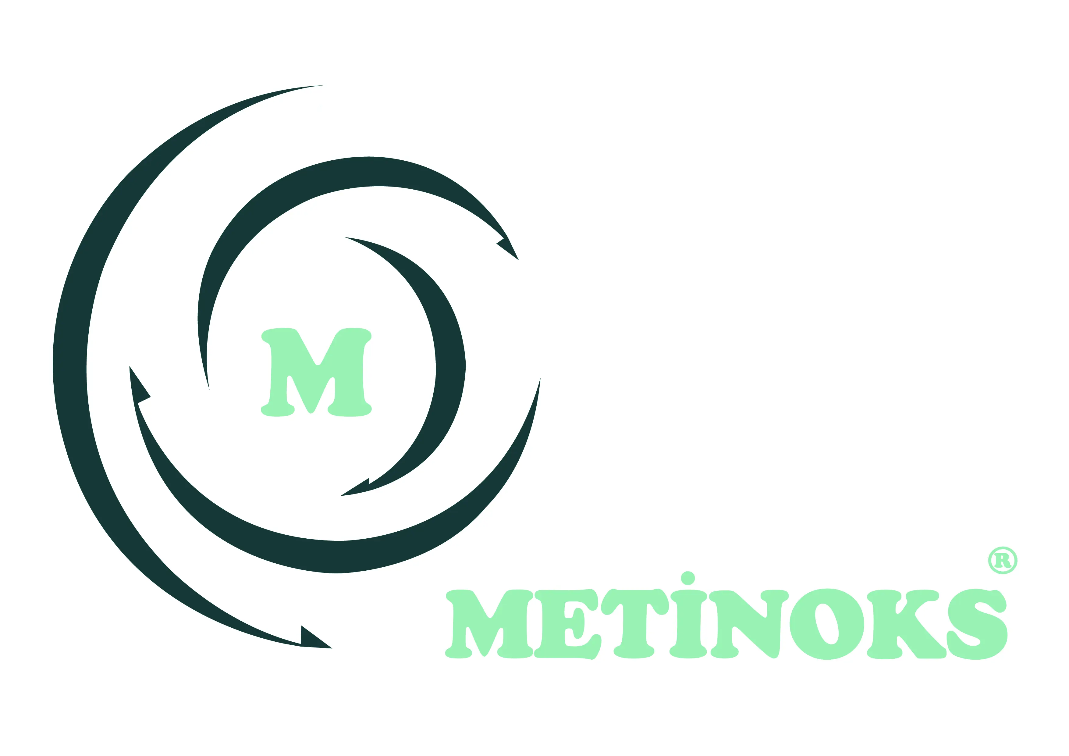 Metinoks Mekatronik San. Tic. Ltd. Sti. logo