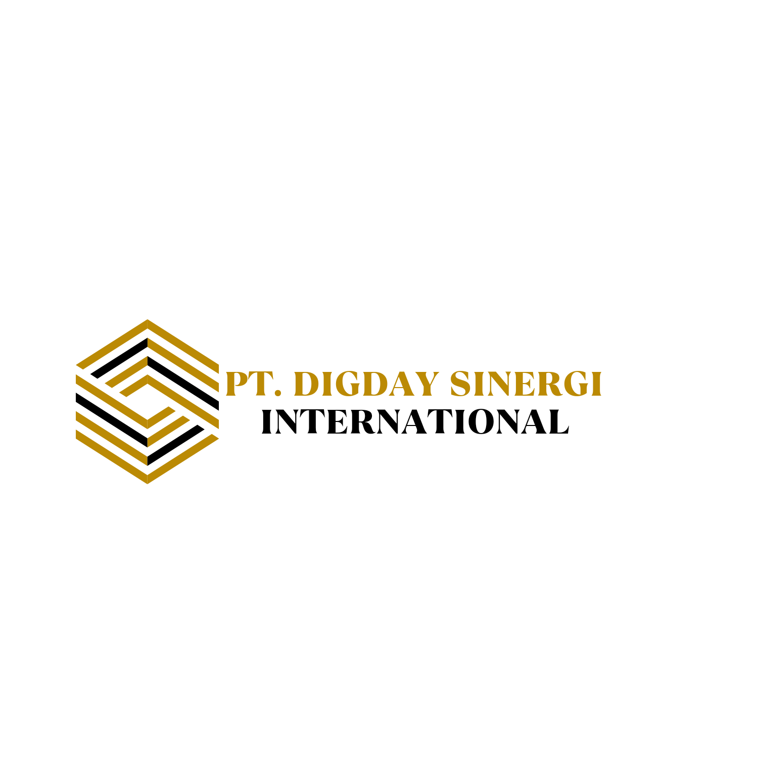 Pt Digdaya Sinergi International