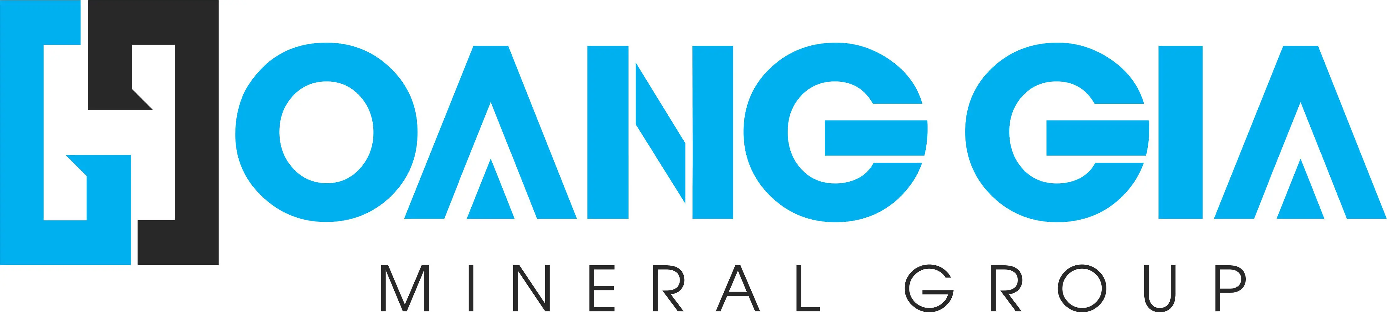 Hoang Gia Mineral Group Jsc logo