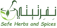 Nefertiti Company logo