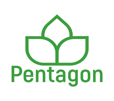 Pentagon Group logo