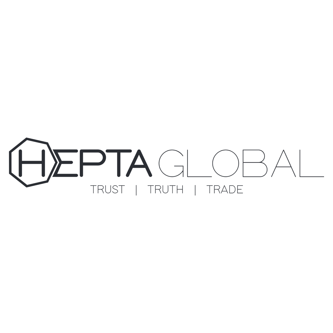 Hepta Dis Ticaret Ltd. Sti. logo