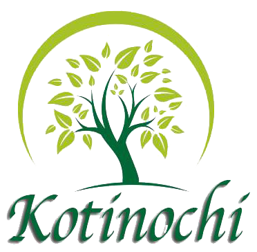 Kotinochi Jsc logo