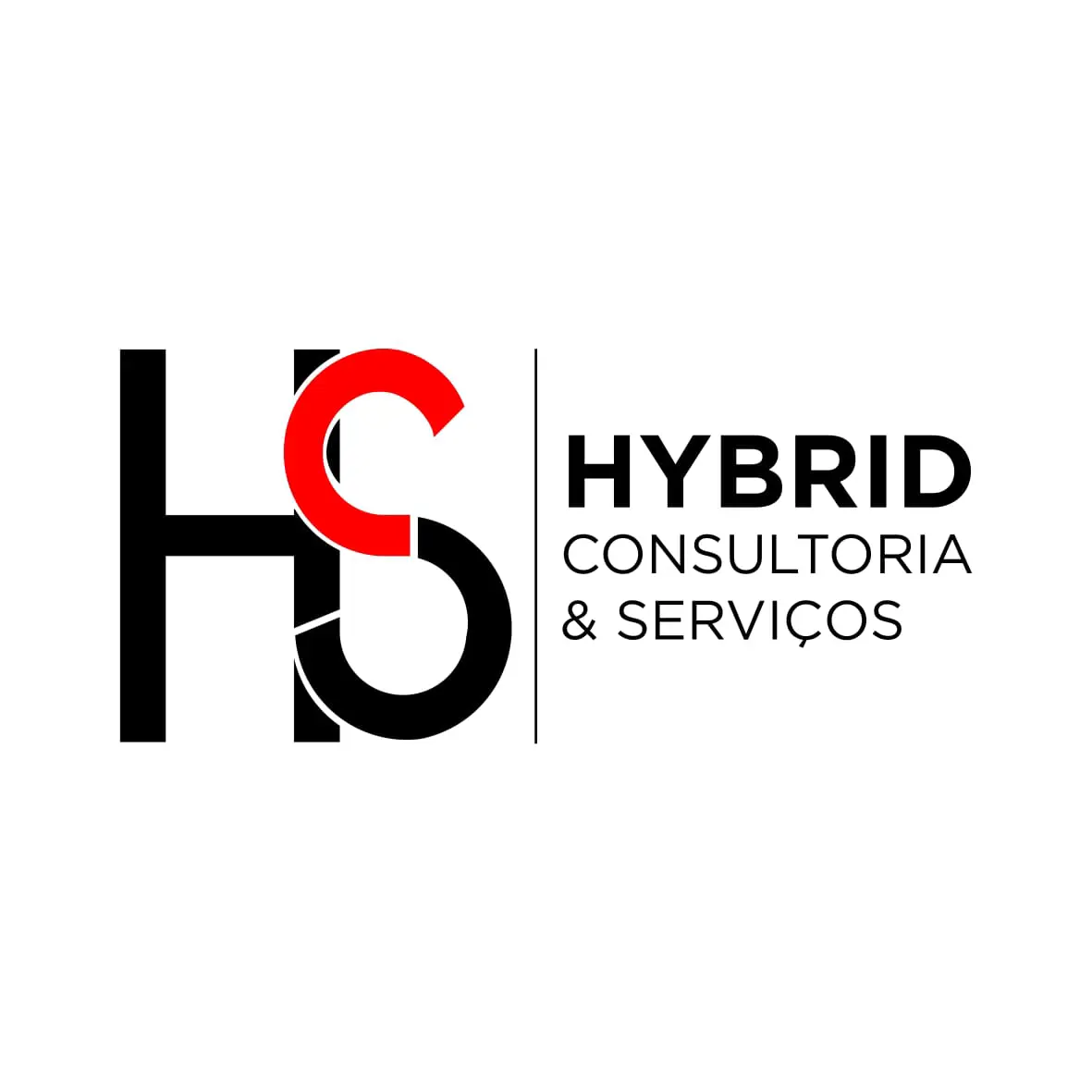 Hybrid Consultoria E Servicos Lda logo