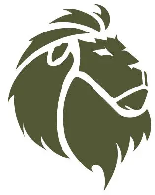 Aslan International Trade logo