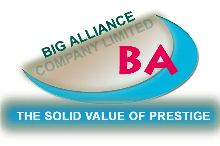 Big Alliance Co., Ltd logo