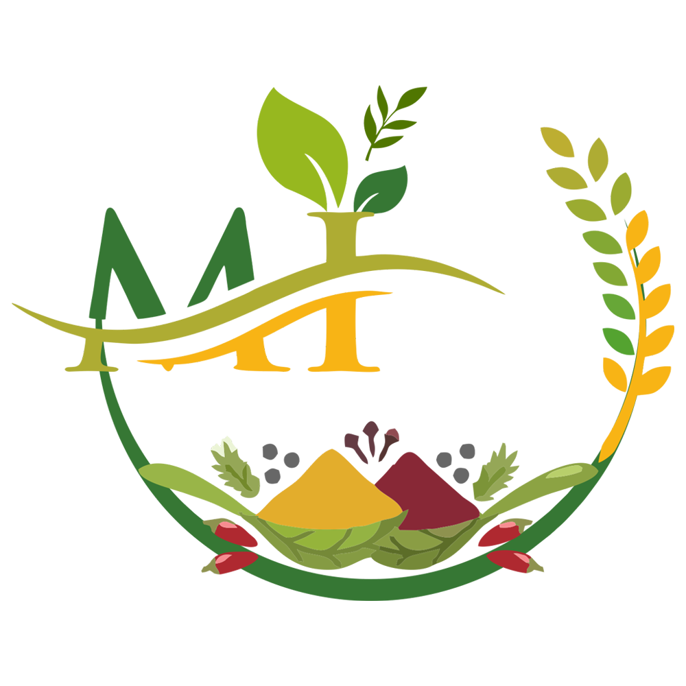 Maimuna International