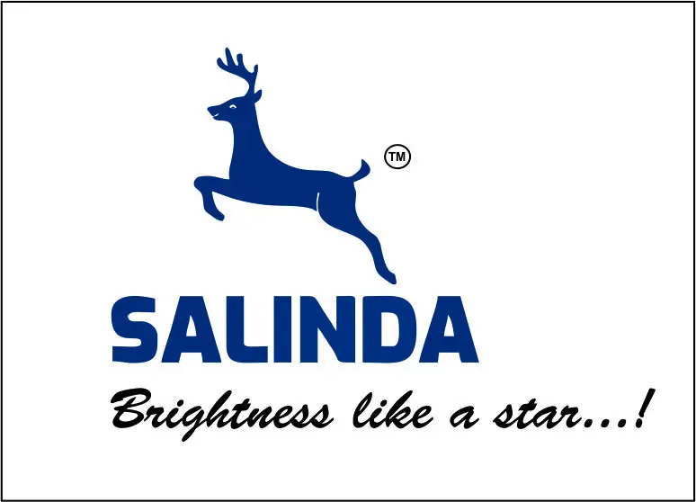 Sailight Industries Private Limited logo