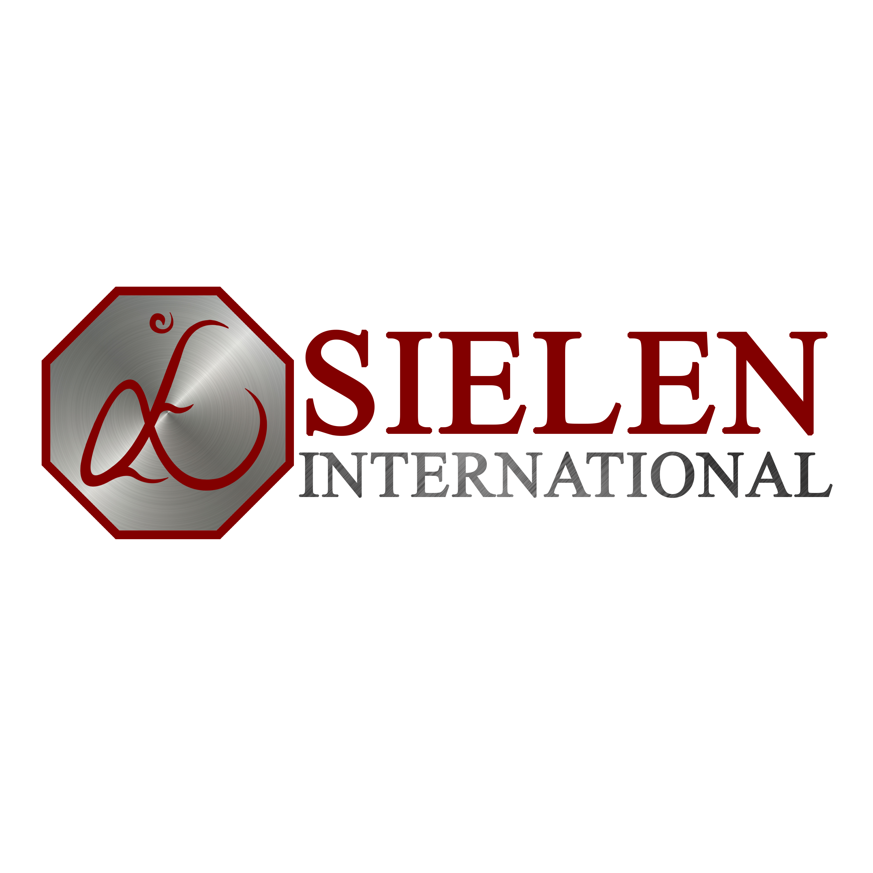 Sielen International (Pvt) Ltd logo