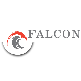 Falcon Grup Tibbi Cihazlar ve Medikal Organizasyon Ithalat Ihracat Anonim Sirketi logo