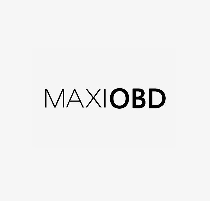 Maxiobd Diagnostic Co., Ltd logo