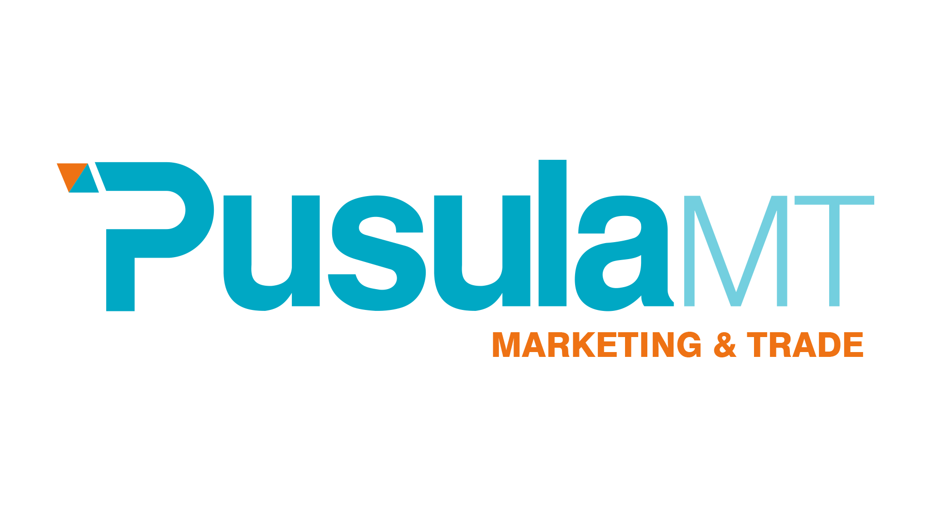 Pusula Mt Uluslararasi Tic. Dan. A.S. logo
