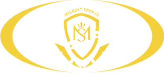 Michiny Sports logo