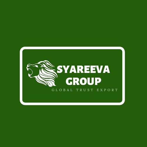 Syareeva Group logo