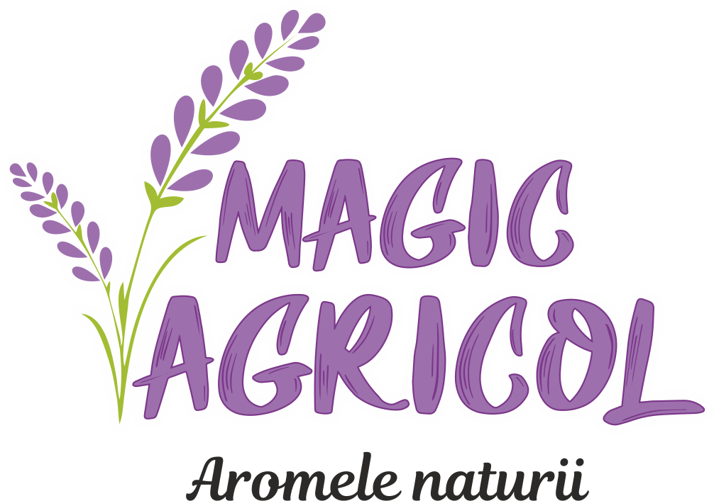 Magic Design S. R. L. logo