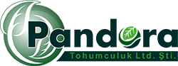 Pandora Tohumculuk Gubre Zirai Ilac Ltd. Sti. logo