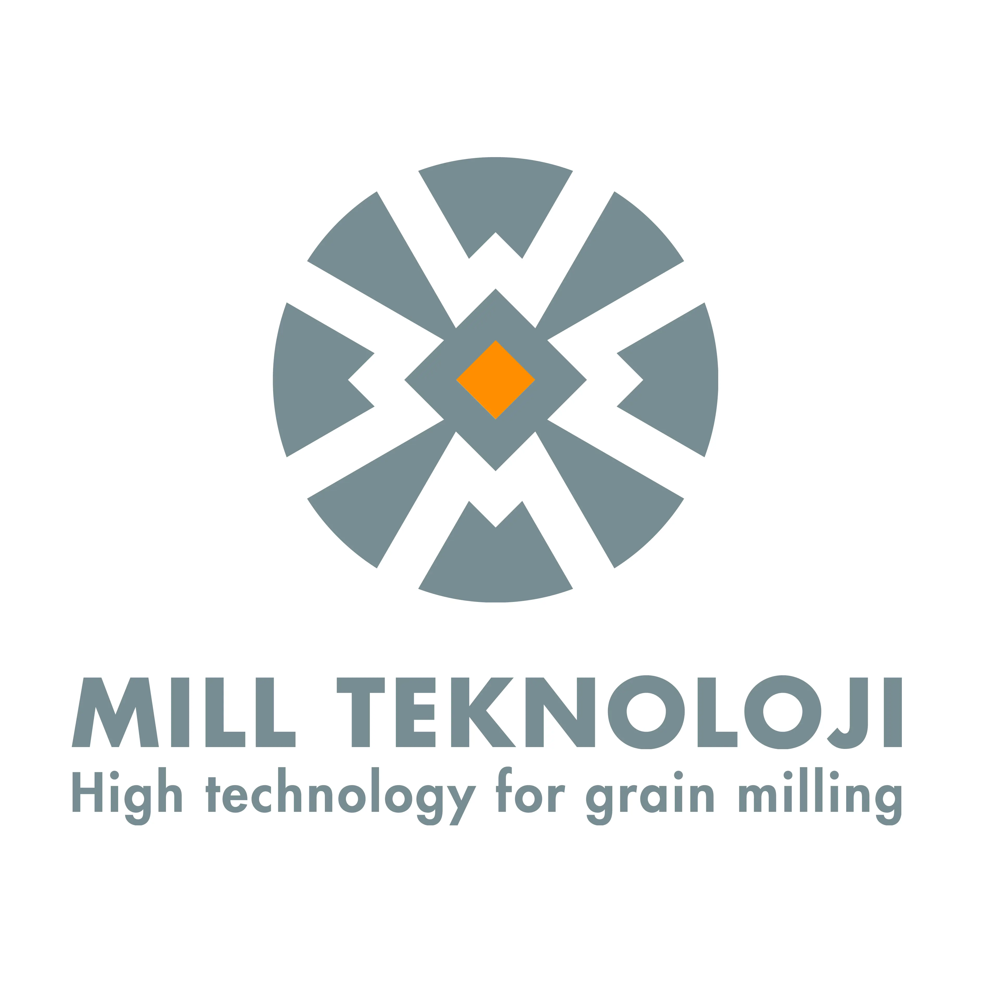 Teknoloji Makina Gida Ltd. Sti. logo