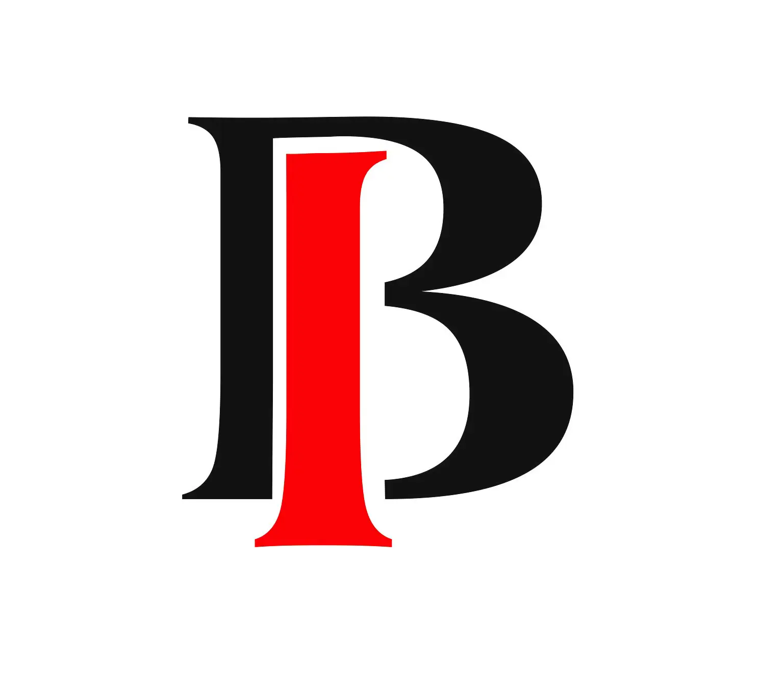 Barkhia International logo