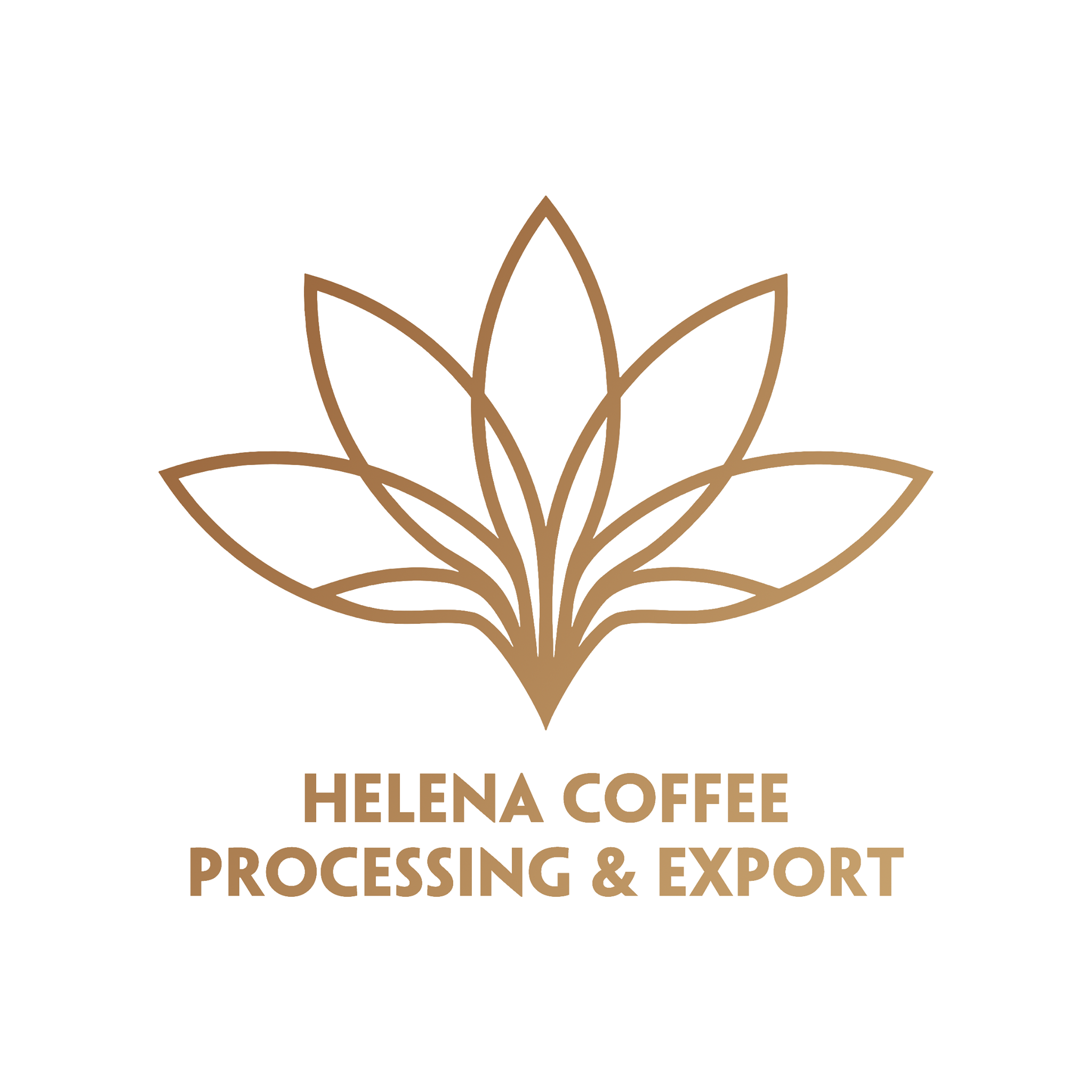 Helena Production Trade and Development Joint Stock logo