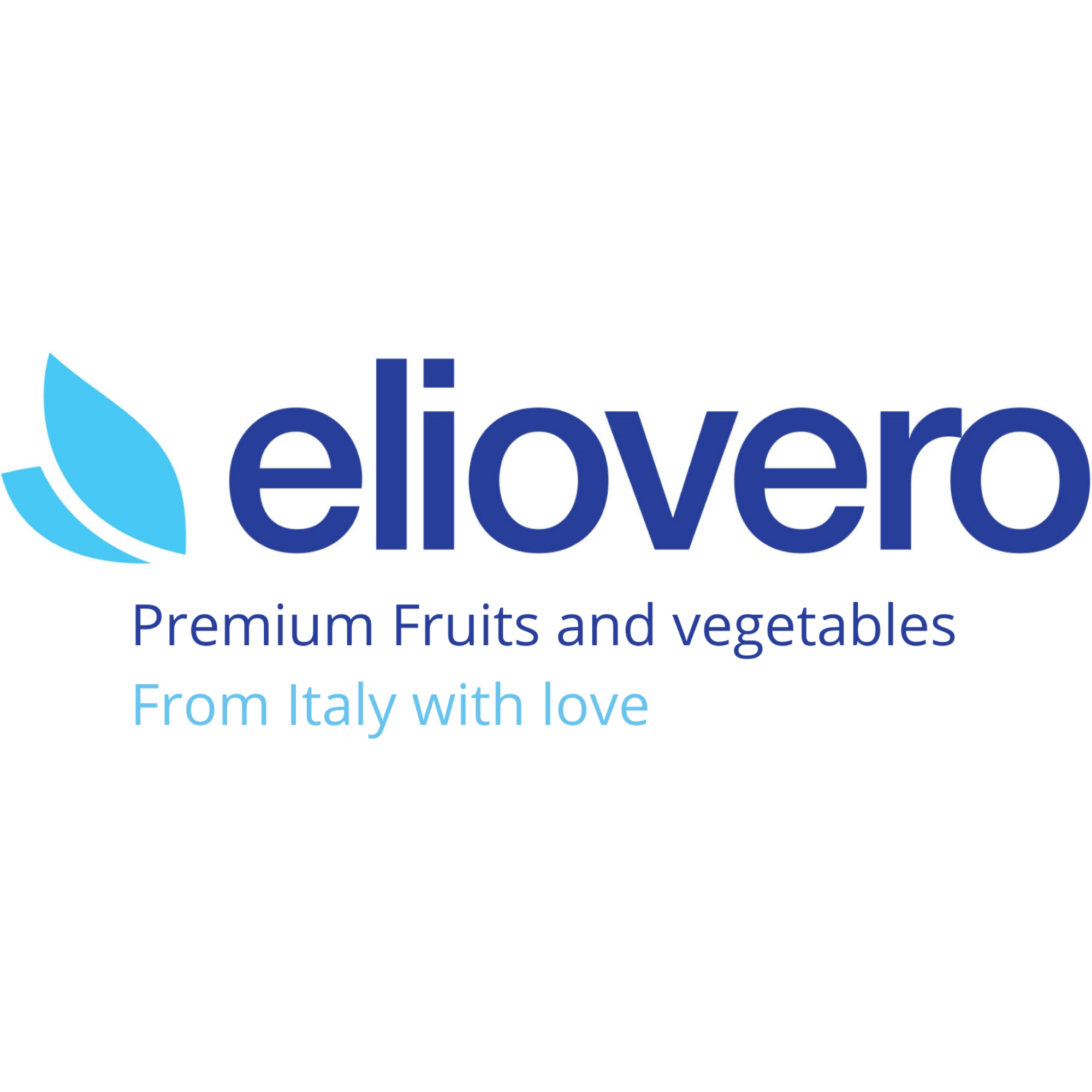 Bruno Elio Srl logo