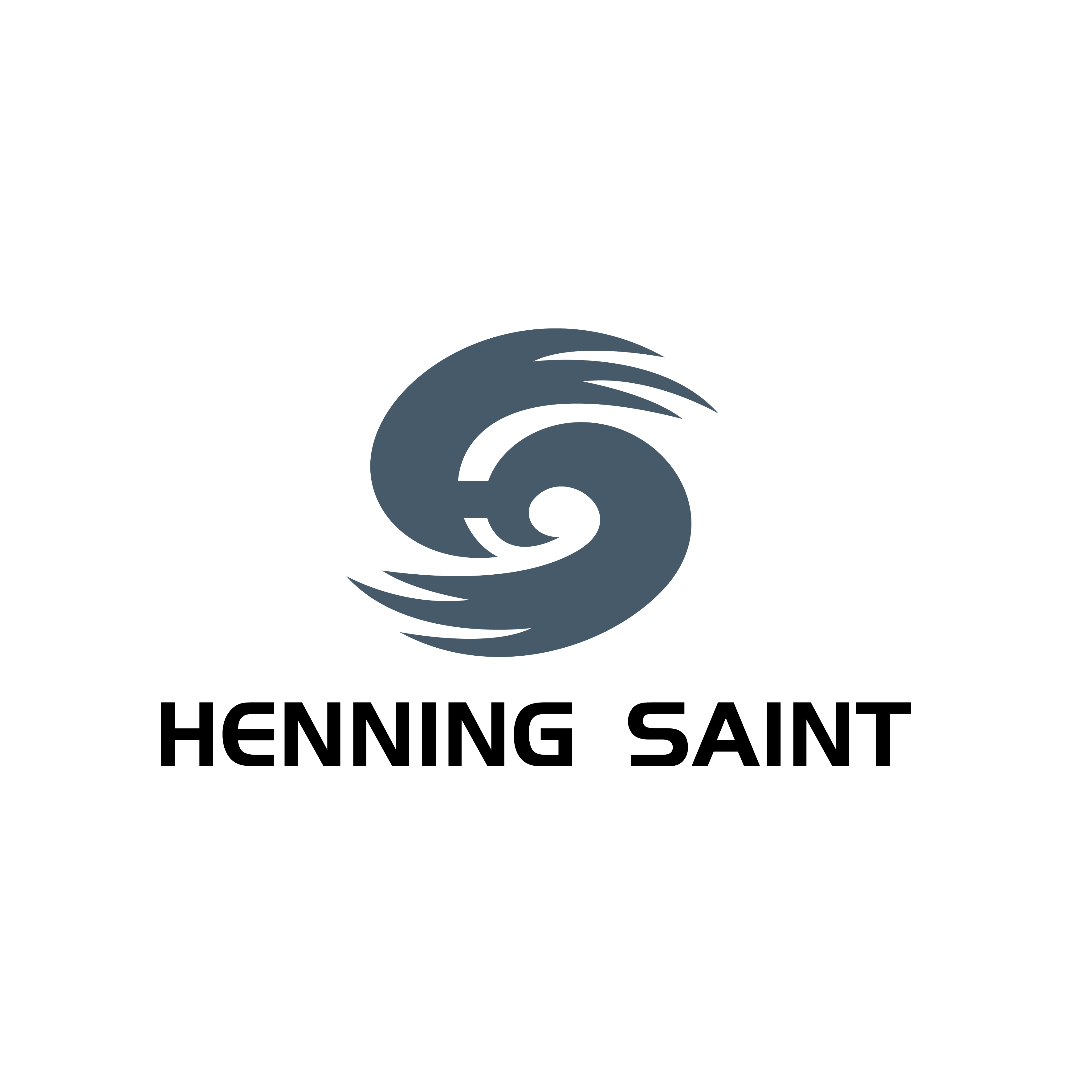 Anhui Henning Saint Technology Co., Ltd. logo