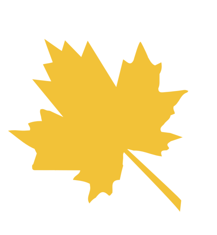 Adikap Integrated Agro Processing Plc logo