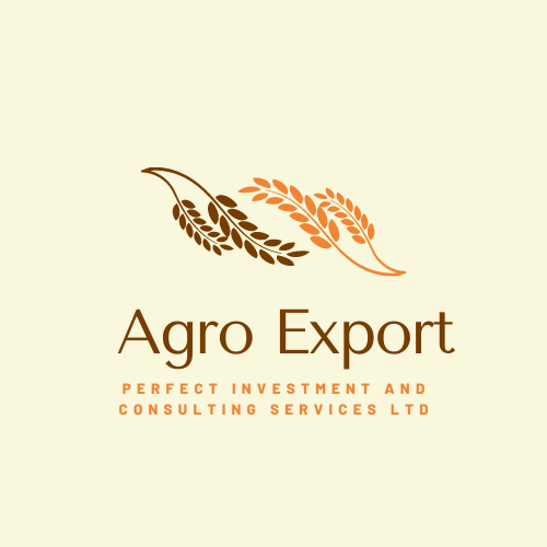 Perfect Investment and Consulting Services Ltd logo