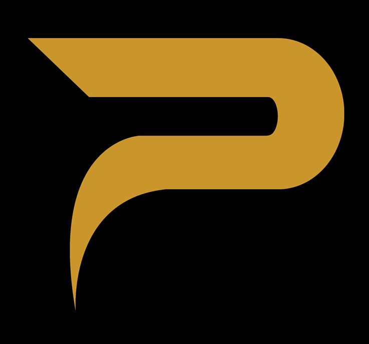 Pollux Overseas logo