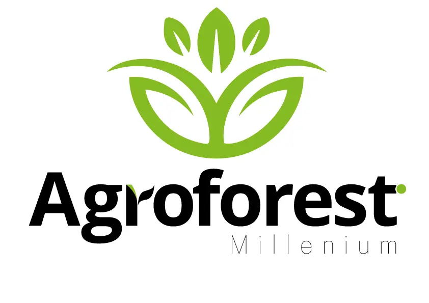 Agroforest Millenium logo