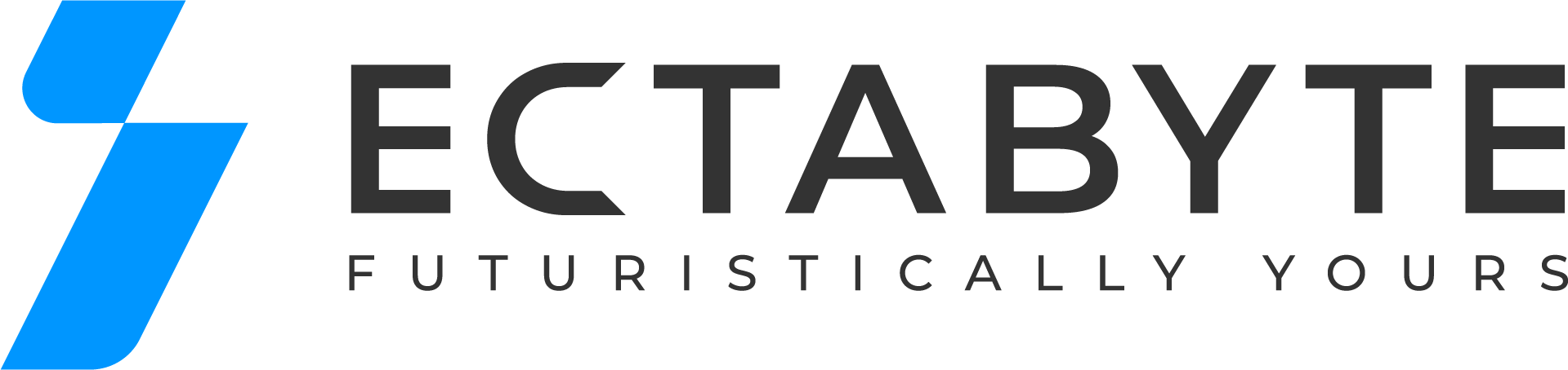 Ectabyte Srl logo
