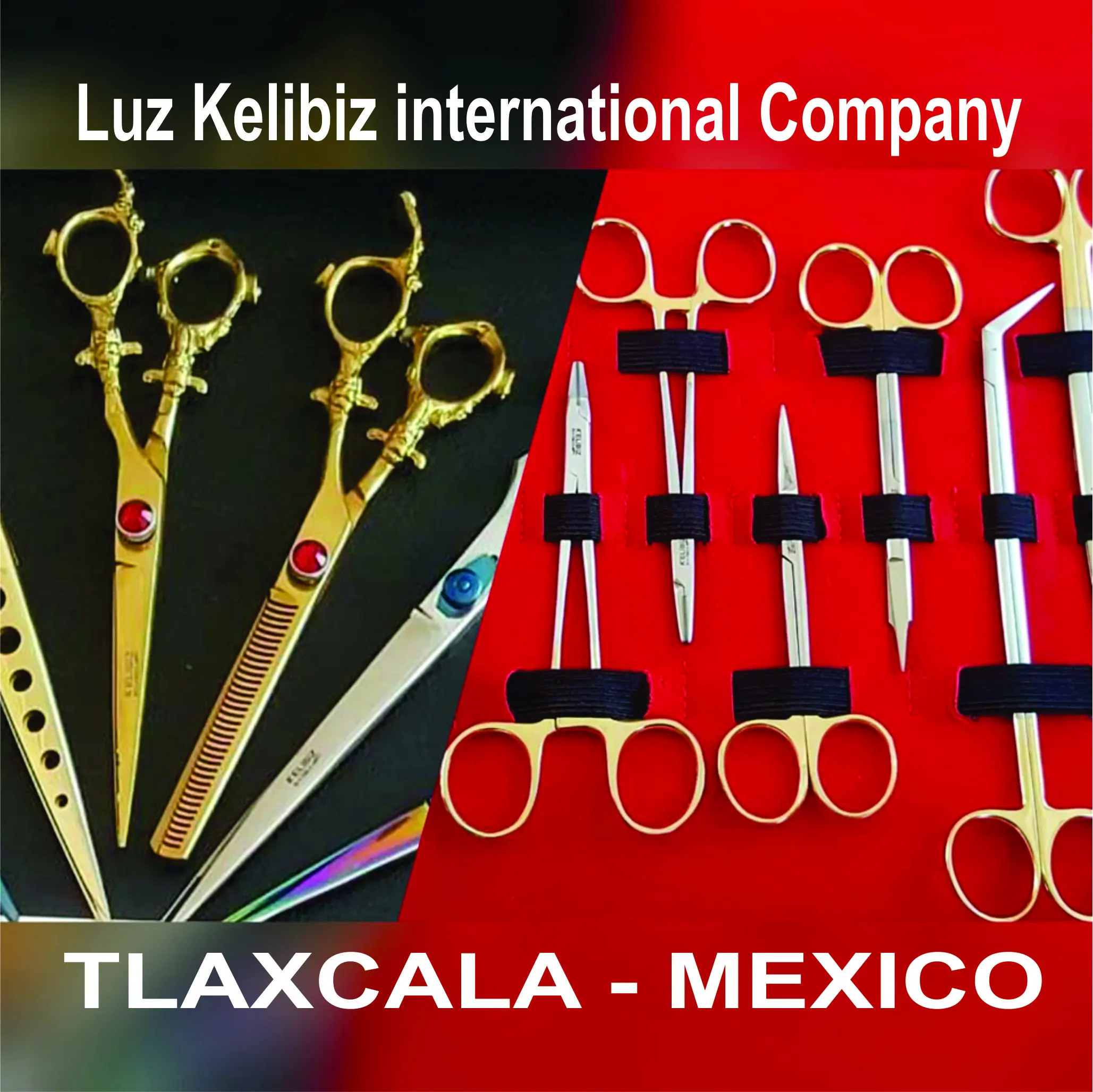 Kelibiz International Saglik Hizmetleri Ticaret Limited Sirketi