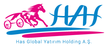 Has Insaat ve Otomotiv A. S. logo