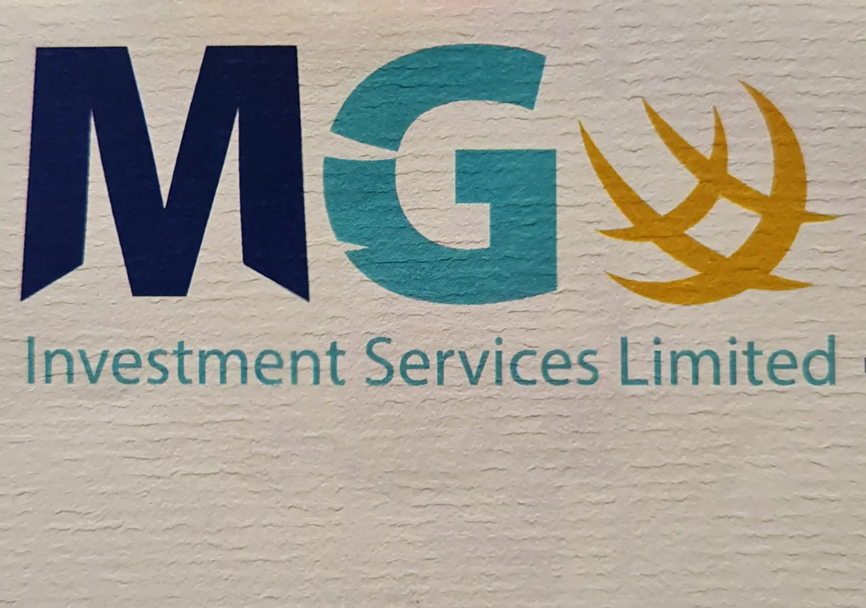 Mg Investments Services Ltd logo