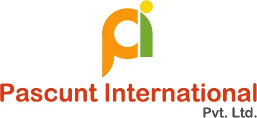 Pascunt International Pvt Ltd logo