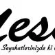 Yesa Yesiller Saraciye Mamulleri Ltd. Sti. logo
