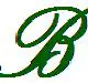 Ben Azaiez Family Group logo