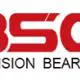 Liaocheng Baishi Bearings Co. Ltd. logo