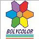 Bolycolor International Ltd. Sti. logo